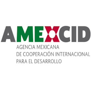Becas para estudiantes extranjeros en México